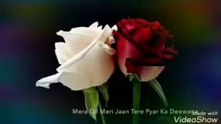 Mera Dil Meri Jaan  Tere pyar ka  ... Udit Narayan Sadhana  Sargam (180.  320).  Mp4