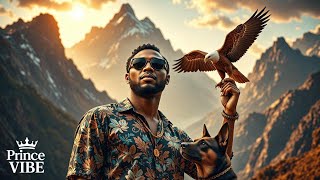 Prince VIBE - Fly go High