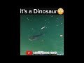 Dinosaur Fish рџ Fishing Fish Shorts Dinosaur Fish рџ Fishing Fish Shorts