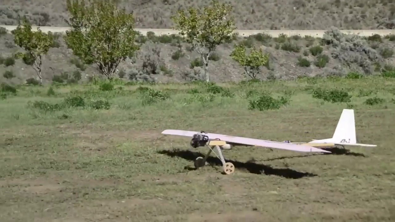 weed eater rc plane