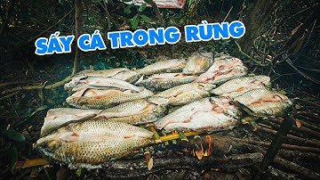 VÔ TÌNH PHÁT HIỆN 1 ĐÀN CÁ TRẮM ĐANG ĐI ĂN, NHANH CHÓNG VÂY LƯỚI BẮT ĐƯỢC HƠN CHỤC CON.