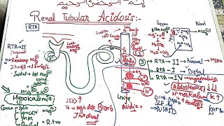 Nephrology Medicine Lecture 9 Renal Tubular Acidosis Rta 1, 2, 4