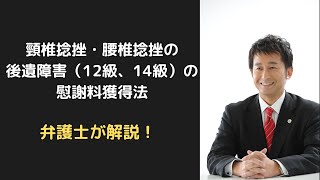 頸椎捻挫・腰椎捻挫後遺障害（12級、14級）の慰謝料獲得法