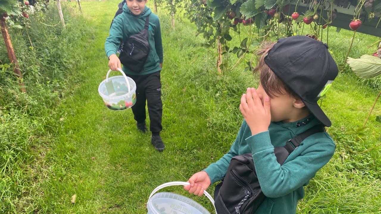 Fruit picking in London farm with the Ben Brothers