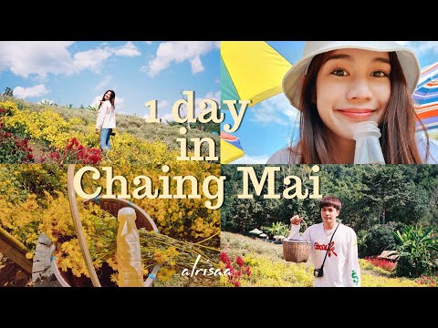 VLOG #6 One Day Trip in Chiang Mai ไปตะลุยเชียงใหม่เจ้ากับคุณเค้า | Alrisaa