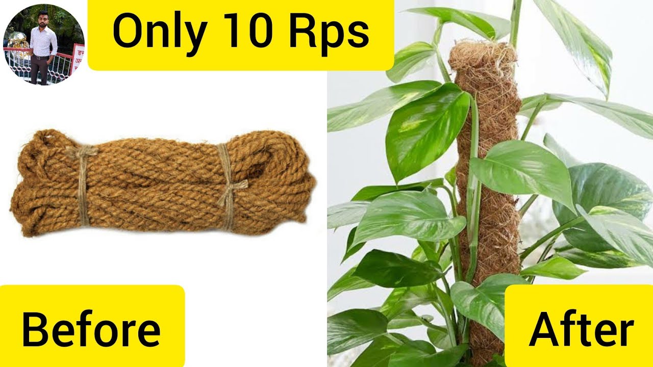 Home made moss steik only 10 Rps , How to make moss stick at home,how