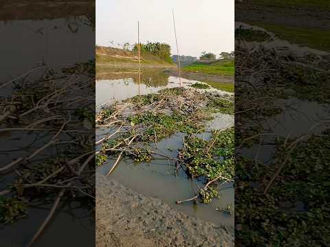 Viral SonG 2026 Shorts 2026 Djgantv 