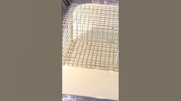 setting a TrapMan cage trap