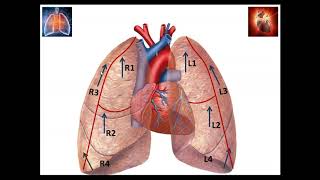 How lung ultrasound can improve care in the NICU