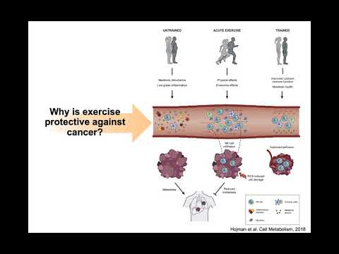 Exercise as a Cancer Prevention Agent: Implications for Lynch Syndrome