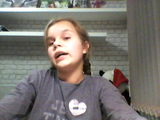 Австралийская пастушья и Адайская лошади