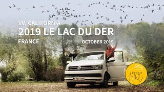 VW California road trip Lac du Der 2019 (F)