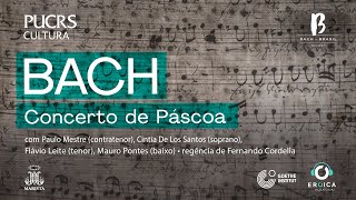 BACH BRASIL # 8 Concerto de Páscoa [4k] com Paulo Mestre, Fernando Cordella e convidados.