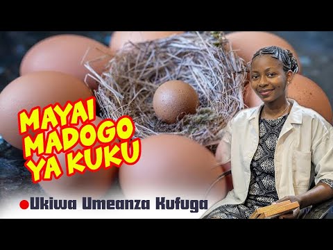 JE KUKU WAKO ANATAGA MAYAI MADOGO HIVI