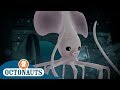 Octonauts - Spaghetti Squid | Compilation | Cartoons for Kids