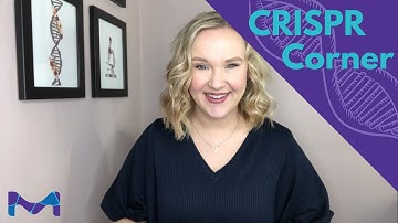 CRISPR Corner 🧬 Episode 8 - Single-Cell CRISPR Screens