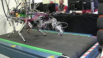 Whole Body Optimization Applied to HyQ Centaur