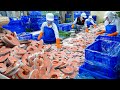 Salmon Cutting Processing Plant &amp; Butter Salmon Pilaf Making / 鮭魚菲力, 奶油鮭魚炊飯 - Food Factory