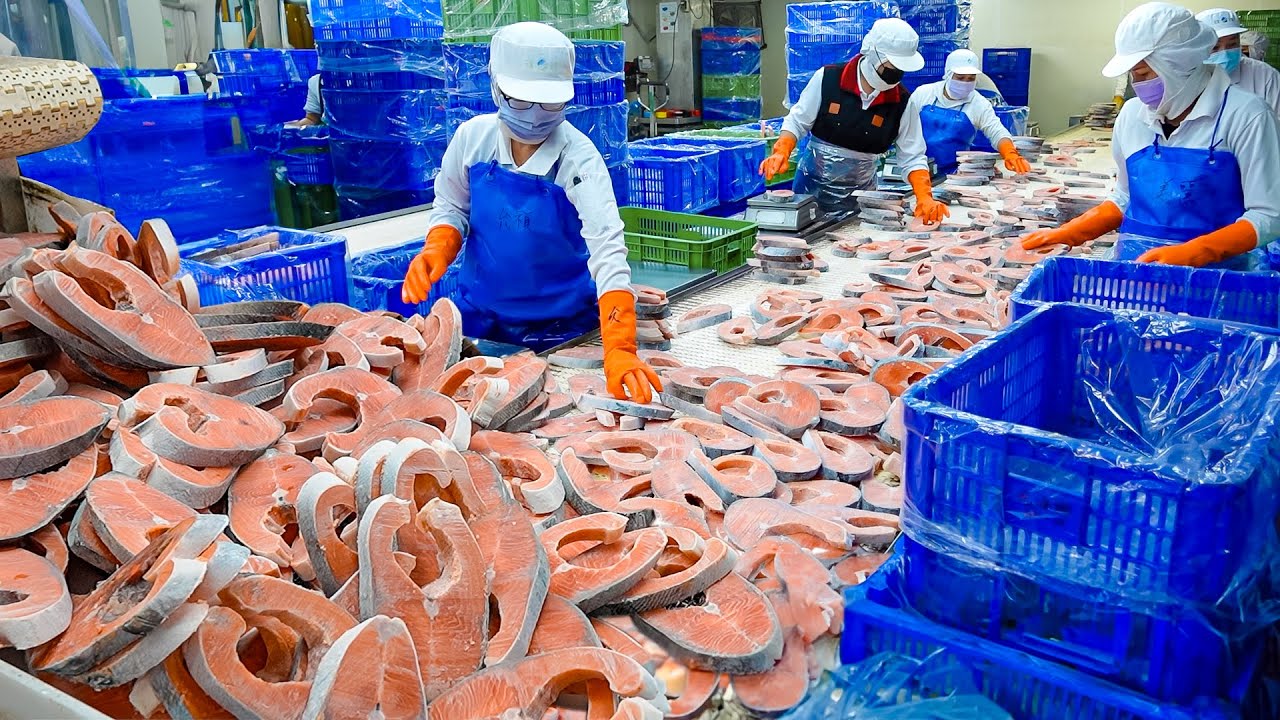 ⁣Salmon Cutting Processing Plant & Butter Salmon Pilaf Making / 鮭魚菲力, 奶油鮭魚炊飯 - Food Factory