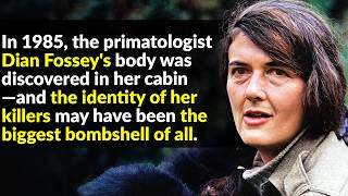 Download Lagu Dian Fossey Met A Chilling End MP3 Download Lagu Dian Fossey Met A Chilling End MP3