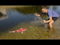 NET TRAP CATCHES COLORFUL Fish For PRIME!