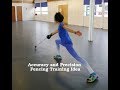 Fencing skills epee accuracy and precision target cricket balls iuli hobbies diy project