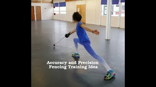 Fencing Skills Epee Accuracy and Precision Target Cricket Balls IULI Hobbies DIY Project