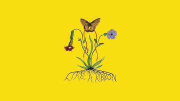 John Glacier - Ocean Steppin' (ft. Sampha)