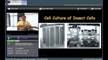 Expression and Purification of Recombinant Proteins Using the Baculovirus/Insect Cell Culture System
