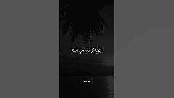 قران كريم راحه نفسيه 🤍 #اكتب_شي_تؤجر_عليه #تلاوة_خاشعة #quran_alkarim