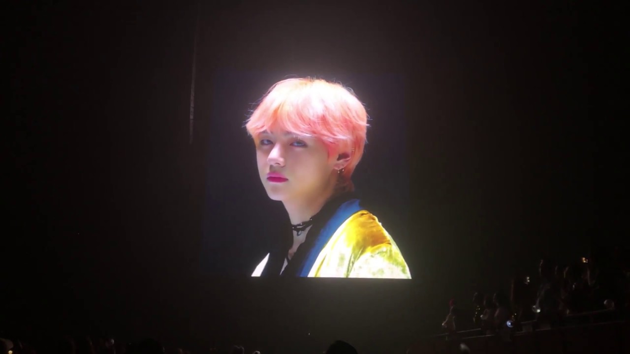 Concert VCR: V | BTS LYS World Tour | Fort Worth