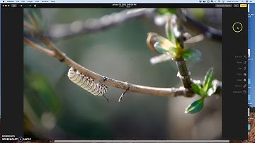 Adding Rule of Thirds Grid