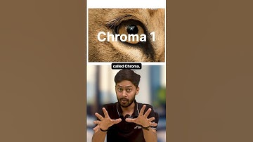 Chroma: het in de slaapkamer gebouwde AI-model dat MidJourney evenaart 🤯