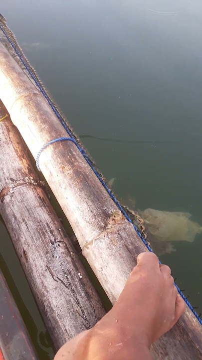 Bocil memancing naik perahu