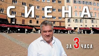 видео: Что посмотреть в Сиене за 3 часа? Спонтанная прогулка по городу в Тоскане картинка: Что посмотреть в Сиене за 3 часа? Спонтанная прогулка по городу в Тоскане