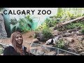 CALGARY ZOO | YYC DAY