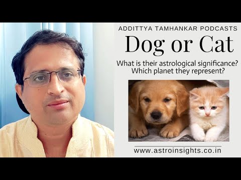 Vidéo: L'astrologie s'applique-t-elle aux chiens ?