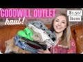 Goodwill Outlet/Bins Haul! 30 Items for $45 :D What Treasures Did I Find at the Binzzz?