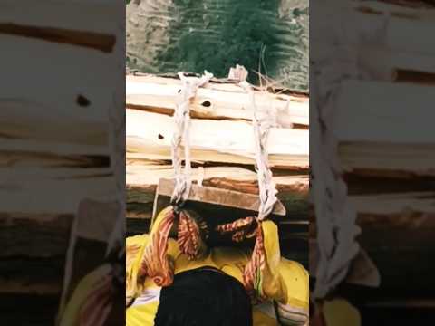 tujhko taras na aya🥲||#music #hindisong #love #song #memes #funny #standupcomedy #dilpechalaichuriya