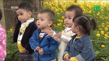 Bắc bộ chuẩn bị đón đợt không khí lạnh mới| VTC14