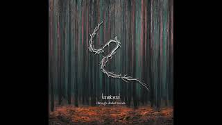 Lunatic Soul - Through Shaded Woods [Full Album]