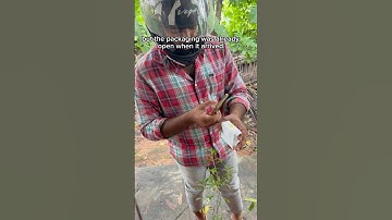 FlipKart SCAM - Fraud #shorts #apple #flipkart #scam