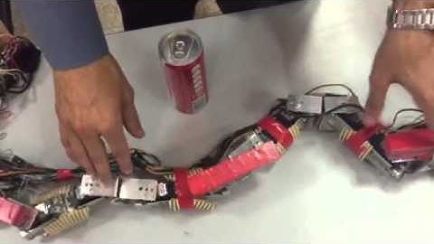 Snake Robot prototype