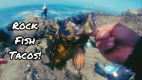 Catch & Cook Rock Fish Tacos!