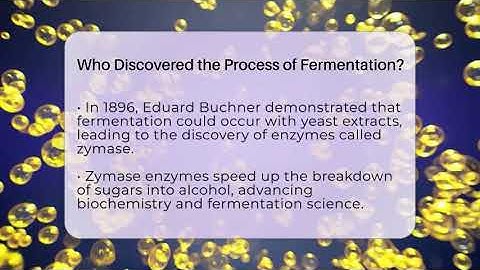 Who Discovered the Process of Fermentation? - The Pint Guy