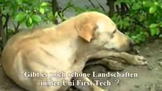 NKFUST Sebastian und Isabell.wmv