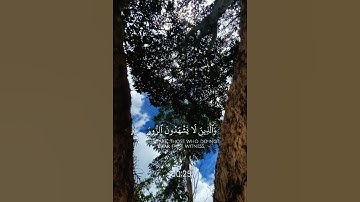محمد اللحيدان - سورة الفرقان| وكان الله غفورا رحيما #قران #اكسبلور #تلاوة_خاشعة #راحة_نفسية #tilawet