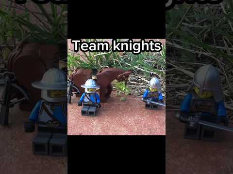 What team are