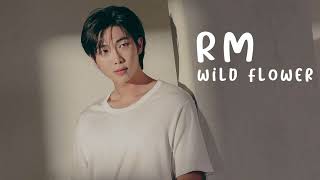 [VIETSUB] WILD FLOWER (들꽃놀이) - RM (with 조유진)