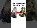 【モンハン】ゴシャハギの生態とトリビアを解説#shorts #モンハン解説 #mhrise